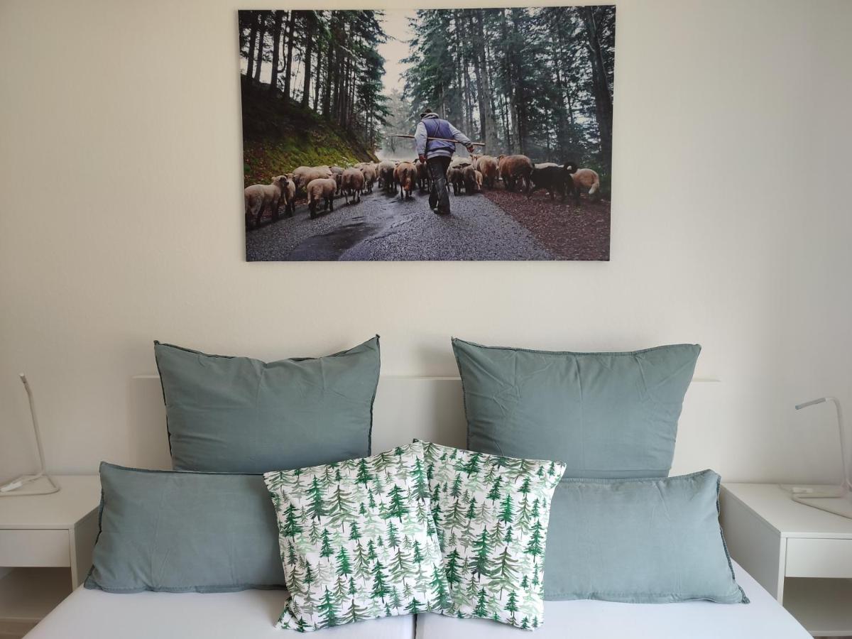 Bed and Breakfast Steepleview House Bad Peterstal-Griesbach Exteriér fotografie