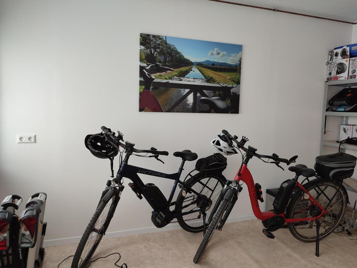 Bed and Breakfast Steepleview House Bad Peterstal-Griesbach Exteriér fotografie